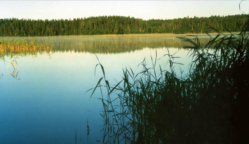 File:Karula rahvuspark_Ähijärv.jpg